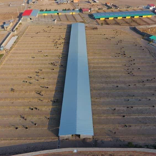Ostrich-farm01