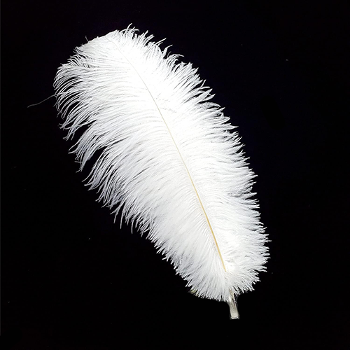 Ostrich-feather
