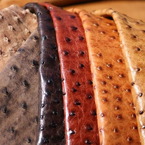 Ostrich-leather